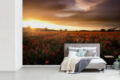 Fototapete - 420x280 cm - Sonnenuntergang über den Mohnblumen in England