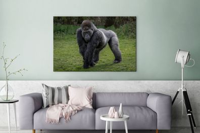 Leinwandbilder - 140x90 cm - Ein Gorilla geht auf seinen Händen und Beinen