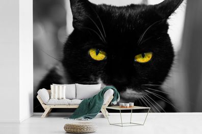 Fototapete - 330x220 cm - Schwarz-Weiß-Foto des Kopfes einer schwarzen Katze mit gelb