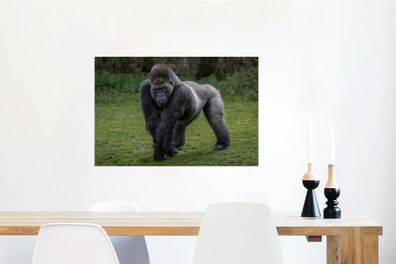 Glasbilder - 60x40 cm - Ein Gorilla geht auf seinen Händen und Beinen (Gr. 60x40 cm)