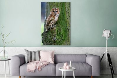 Leinwandbilder - 90x140 cm - Ein Waldkauz auf einem Baum mit Moos (Gr. 90x140 cm)