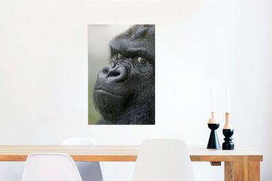 Glasbilder - 60x90 cm - Ein erstaunlicher Gorilla (Gr. 60x90 cm)