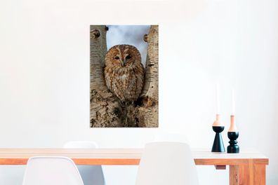 Leinwandbilder - 60x90 cm - Ein Waldkauz versteckt sich zwischen zwei Baumstämmen