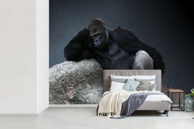 Fototapete - 415x300 cm - Gorilla entspannt auf einem Felsen (Gr. 415x300 cm)