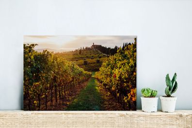 Glasbilder - 30x20 cm - Toskana - Landschaft - Weinberge (Gr. 30x20 cm)