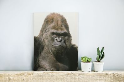 Glasbilder - 30x40 cm - Sonnenstrahlen leuchten in den Augen des Gorillas