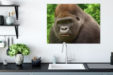 Leinwandbilder - 80x60 cm - Nahaufnahme des Gesichts eines männlichen Gorillas