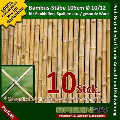 10 Bambus-Stäbe als Rankhilfe Rank-Gitter Stäbe für Pflanzen im Garten & Kübel !
