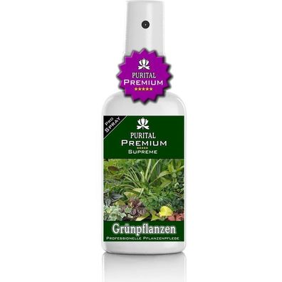 Purital Premium Grünpflanze Spray - Zimmerpflanzen - gesunde Blätter und üppige