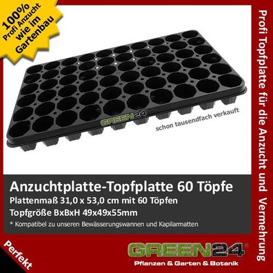 QP Topfplatte 60 Töpfe Multitopf Pikier-Platte Topf-Paletten Anzucht Topf Platte