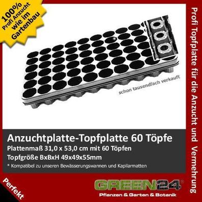 Topfplatte 60 Töpfe Anzucht-Töpfe Topf-Paletten Anzucht-Paletten Multitopf !