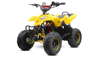 800W ECO QUAD RAZER 36V | 12A | 6"
