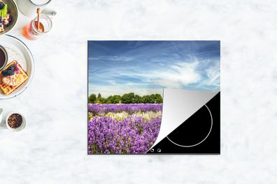 Herdabdeckplatte - 75x52 cm - Lila und weiß blühender Lavendel auf einem Feld