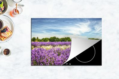 Herdabdeckplatte - 78x52 cm - Lila und weiß blühender Lavendel auf einem Feld