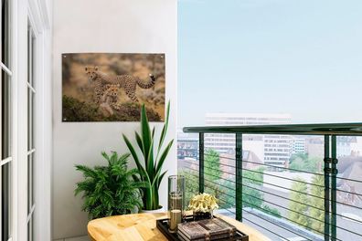 Gartenposter - 60x40 cm - Leopard - Jungtier - Natur (Gr. 60x40 cm)
