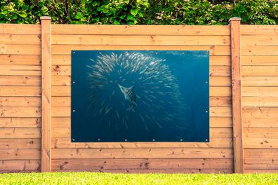 Gartenposter - 180x120 cm - Schwertfisch - Blau - Wasser (Gr. 180x120 cm)