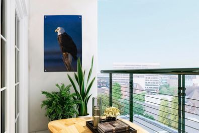 Gartenposter - 40x60 cm - Adler - Nahaufnahme - Zweig (Gr. 40x60 cm)