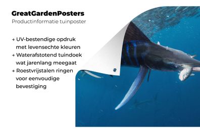 Gartenposter - 120x80 cm - Schwertfisch - Blau - Wasser (Gr. 120x80 cm)