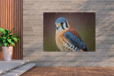 Gartenposter - 160x120 cm - Vogel - Makro - Blau (Gr. 160x120 cm)
