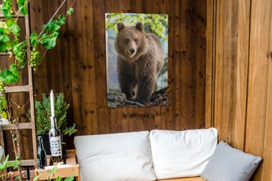 Gartenposter - 60x90 cm - Bär - Braun - Wald (Gr. 60x90 cm)