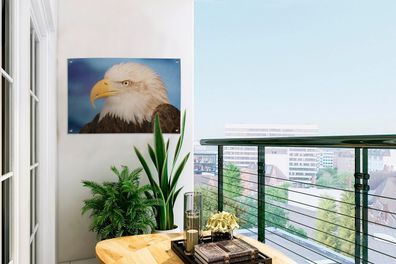 Gartenposter - 60x40 cm - Adler - Makro - Weiß (Gr. 60x40 cm)