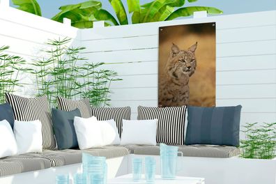 Gartenposter - 40x60 cm - Luchs - Braun - Gras (Gr. 40x60 cm)