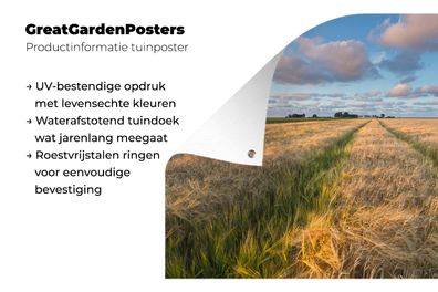 Gartenposter - 120x80 cm - Gerstenfelder in Groningen (Gr. 120x80 cm)