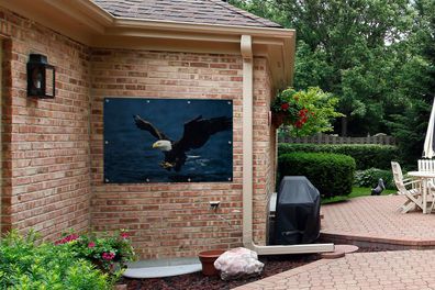 Gartenposter - 120x80 cm - Adler - Nahaufnahme - Wasser (Gr. 120x80 cm)