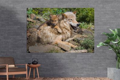 Gartenposter - 180x120 cm - Wolf - Jungtier - Tier (Gr. 180x120 cm)