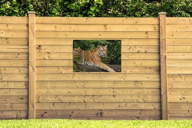 Gartenposter - 90x60 cm - Tiger - Baum - Blätter (Gr. 90x60 cm)