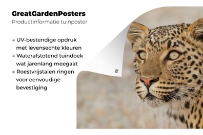 Gartenposter - 120x80 cm - Leopard - Makro - Braun (Gr. 120x80 cm)