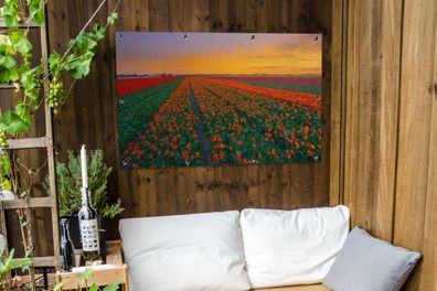 Gartenposter - 120x80 cm - Tulpenfelder in Südholland (Gr. 120x80 cm)