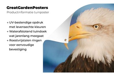 Gartenposter - 90x60 cm - Adler - Makro - Weiß (Gr. 90x60 cm)