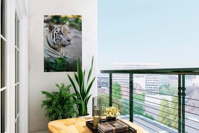 Gartenposter - 40x60 cm - Tiger - Weiß - Sand (Gr. 40x60 cm)