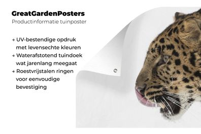 Gartenposter - 180x120 cm - Leopard - Schnee - Kopf (Gr. 180x120 cm)