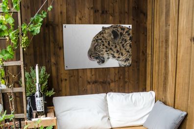 Gartenposter - 90x60 cm - Leopard - Schnee - Kopf (Gr. 90x60 cm)