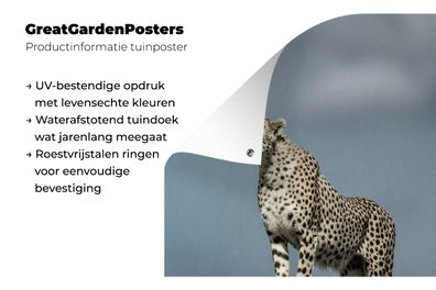 Gartenposter - 120x180 cm - Leopard - Steine - Wolken (Gr. 120x180 cm)