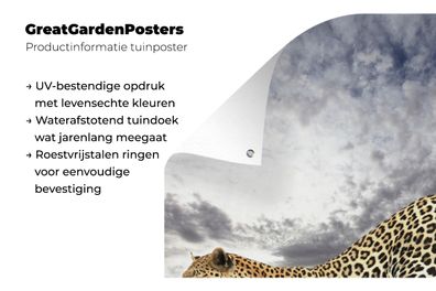 Gartenposter - 40x60 cm - Leopard - Wolken - Baum (Gr. 40x60 cm)