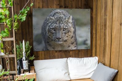 Gartenposter - 120x90 cm - Leopard - Steine - Spaziergang (Gr. 120x90 cm)