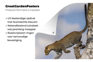Gartenposter - 60x80 cm - Leopard - Baum - Sprung (Gr. 60x80 cm)