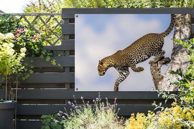 Gartenposter - 120x80 cm - Leopard - Baum - Sprung (Gr. 120x80 cm)