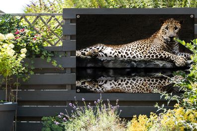 Gartenposter - 120x80 cm - Leopard - Wasser - Wald (Gr. 120x80 cm)