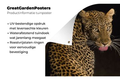 Gartenposter - 120x80 cm - Leopard - Zunge - Nacht (Gr. 120x80 cm)