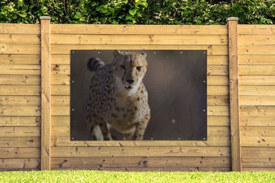 Gartenposter - 180x120 cm - Leopard - Sprint - Pflanzen (Gr. 180x120 cm)