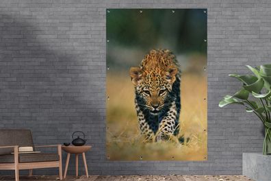 Gartenposter - 120x180 cm - Leopard - Makro - Gras (Gr. 120x180 cm)