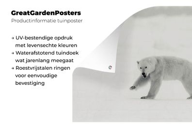 Gartenposter - 180x120 cm - Eisbär - Schnee - Tier (Gr. 180x120 cm)