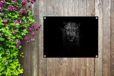 Gartenposter - 40x30 cm - Leopard - Schwarz - Weiß (Gr. 40x30 cm)