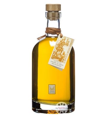 Villa Laviosa Heulikör 0,7L (30 % vol., 0,7 Liter) (30 % vol., hide)