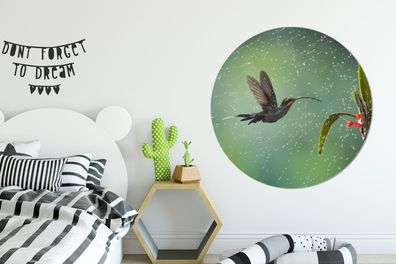 Runde Wandbilder - 120x120 cm - Kolibri im Regen in der Natur von Costa Rica