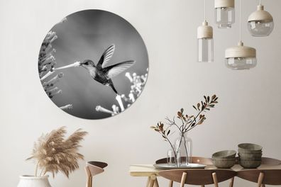 Runde Wandbilder - 120x120 cm - Lila gekrönte Waldnymphe im Nationalpark von Costa Ri